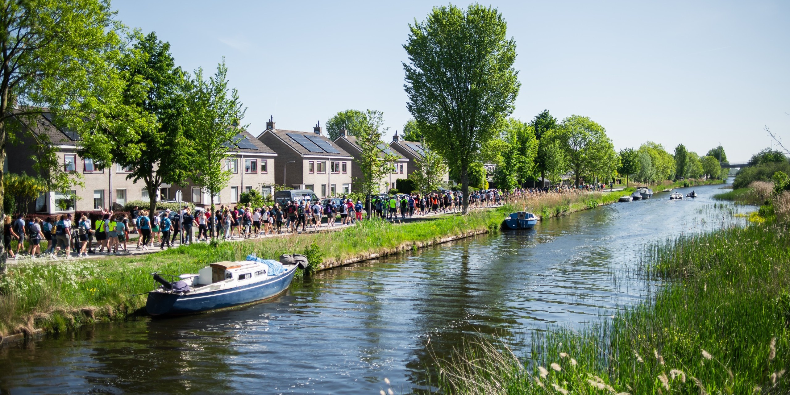 WIEBESIETZE-LOOPLEEUWARDEN-20250511-110040-WSP_5093